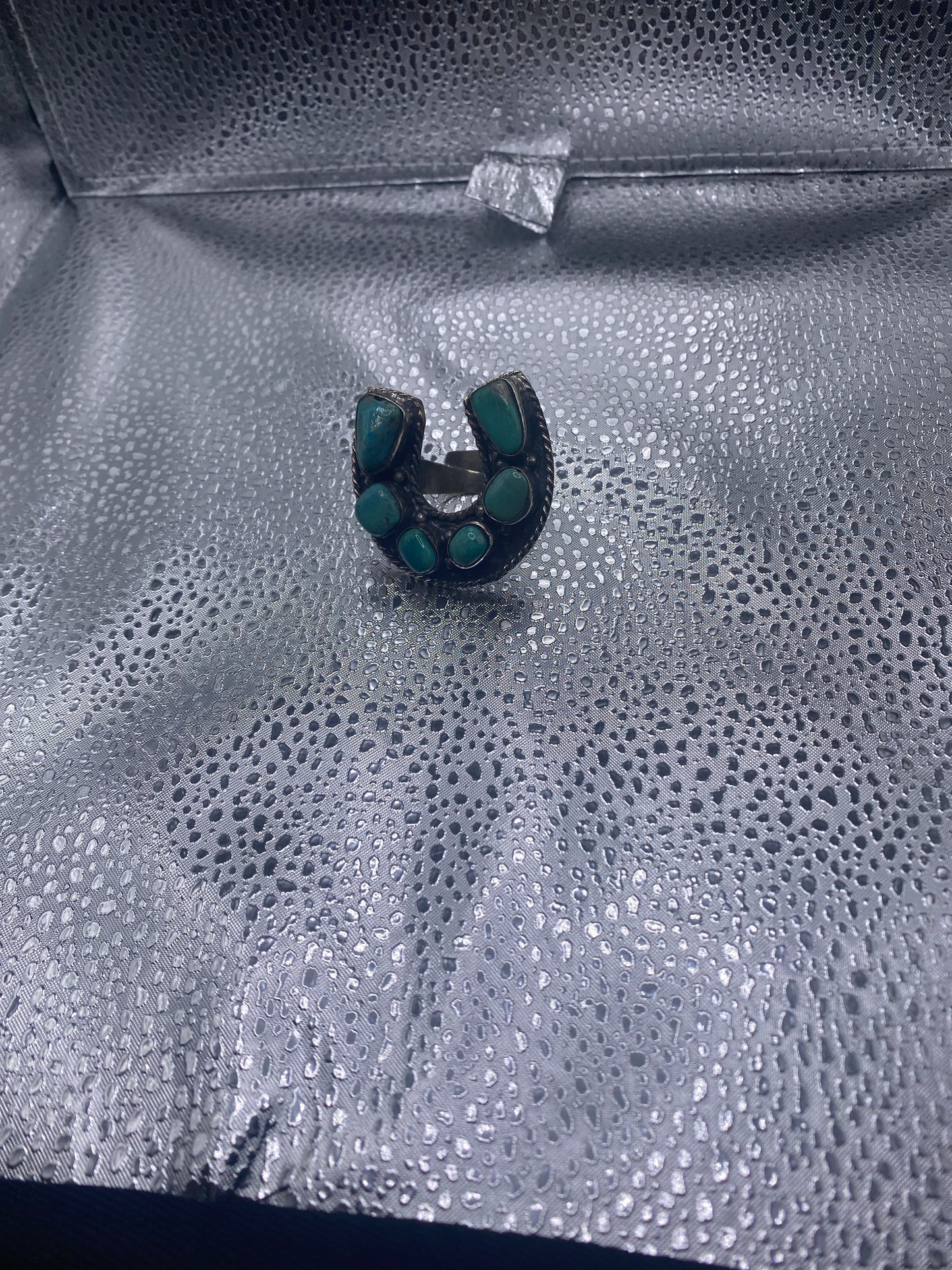 Turquoise Horseshoe Delight