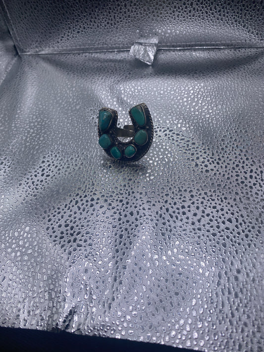 Turquoise Horseshoe Delight